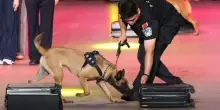 Cina, da inizio anno sequestrate oltre 4 tonnellate di droga alle frontiere