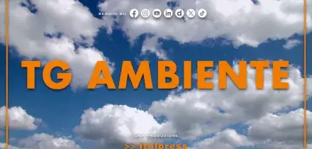 Tg Ambiente - 28/6/2026