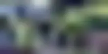 Germania, sparatoria a Stade: almeno 5 morti e diversi feriti