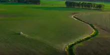 Portavoce Cina, pronti a facilitare commercio agricolo bilaterale con Usa