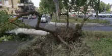 El Ni&ntilde;o sconvolge il clima globale. Allarme Onu: intensit&agrave; mai vista e fenomeni estremi