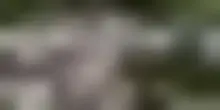 Venezuela, si scava ancora tra le macerie: i morti salgono a 2.595