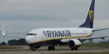 Malpensa, incubo zanzare a bordo del volo. Passeggeri costretti a cambiare aereo