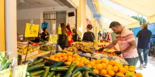 Roma "sprecona": 700 tonnellate di cibo al giorno finiscono nella spazzatura