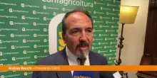 Rocchi (Crea) "Serve cambio di paradigma nella gestione del territorio"