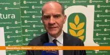 Giansanti "Sulla Xylella dare risposte concrete ai nostri agricoltori"