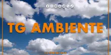 Tg Ambiente - 12/7/2026