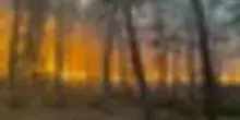 Vasto incendio nella foresta di Fontainebleau alle porte di Parigi