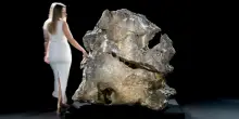 Comunicato Stampa: Da Pietra ALMA nasce Lithos Atelier, il progetto del Gruppo Traettino tra geologia e collezionismo