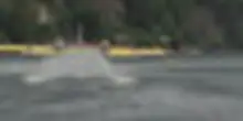 Incendio a Fontainebleau, i Canadair prendono acqua nella Senna