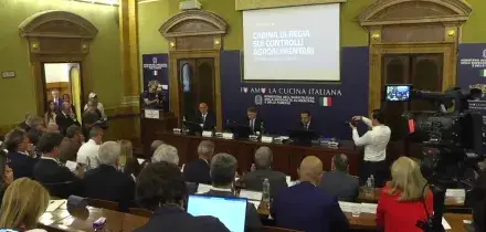 Il Masaf al fianco del settore olivicolo, tolleranza zero contro le frodi