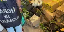 Sequestrati 100 kg tra hashish e marijuana nel Catanese, 3 arresti