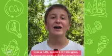 La Campania a difesa delle "caretta caretta"