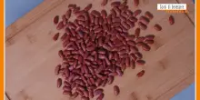 Sorsi di Benessere - Una crema con fagioli e pomodoro
