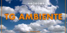 Tg Ambiente - 19/7/2026