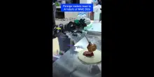 Un robot pu&ograve; fare una pizza o sfidarci a tennistavolo? Se ne parla a Shanghai