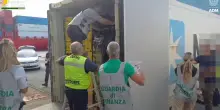 Savona, sequestrati al porto di Vado Ligure 800 chili di cocaina