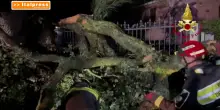 Maltempo nelle Marche, oltre duecento interventi dei Vigili del fuoco