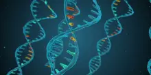 Genetica medica, diagnosi pi&ugrave; precise e terapie personalizzate