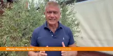 Pecoraro Scanio "Arrestare incendiari e sostenere sindaci e agricoltori"