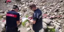 Estorsione aggravata e traffico di rifiuti a Verbania, 8 arresti e sequestri