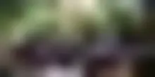 India, gli studenti sfidano Modi dopo gli scandali sugli esami
