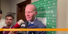Agricoltura, Giansanti "Da crisi geopolitiche effetti sul sistema produttivo"