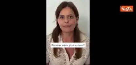 Ilaria Salis su licenziamento collaboratori: Ho saputo del processo dopo condanna. Ho fatto appello