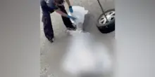 Nuovo video su Fakir, il legale dei poliziotti: "Il motivo della chiazza di sangue"