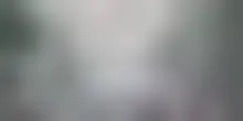 Incendi in Francia, 200mila persone evacuate, 98mila ettari in fumo