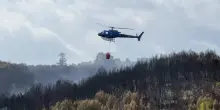 Il maxi-incendio sul Gargano &egrave; doloso: 150 ettari bruciati e fiamme ancora non spente