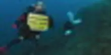 Greenpeace: mari italiani pi&ugrave; caldi, danni ai fondali