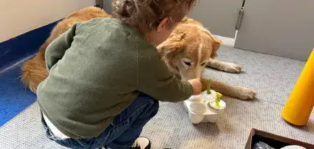 Purina e Frida's Friends, pet therapy in Neurologia Pediatrica al Fatebenefratelli