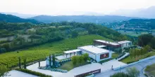 Antica tenuta Palombo, l'eccellenza della Ciociaria che ha trasformato il vino in un motore di sviluppo