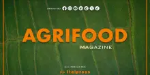 Agrifood Magazine - 29/7/2026