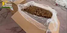 Roma, maxi sequestro di tabacco in un capannone