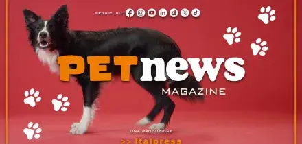 PetNews Magazine - 3/8/2026