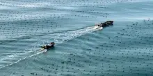 Cina, l'economia marittima segna una crescita costante nel primo semestre