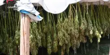 Controlli antidroga nel Torinese, 7 arresti