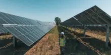 Enel, a Pian di Giorgio energia solare e agricoltura crescono insieme