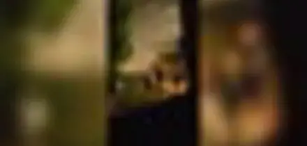 Bulgaria, minacce naziskin contro adolescenti ebrei italiani in hotel
