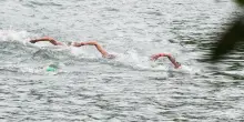 Bronzo per Paltrinieri nella 5 km agli Europei di fondo, oro a Wellbrock