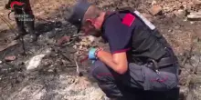 Appicca il fuoco vicino a un bosco a Morano Calabro, 56enne arrestato
