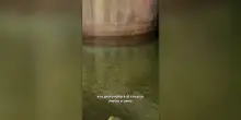 Roma, una cisterna medievale colma d'acqua sotto palazzo San Macuto