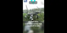 Cina, robot aiuta i coltivatori in un'azienda agricola nello Xinjiang