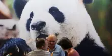 Cina, in aumento dell'11,3% i ricavi dell'industria pubblicitaria