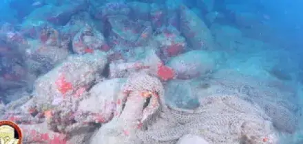 Mazara del Vallo, rinvenuto antico relitto romano. Giuli: "Fra le pi&ugrave; importanti scoperte subacquee" | FOTO