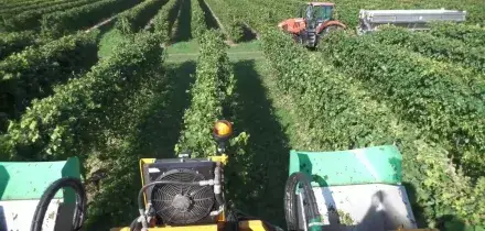 Coltivaitalia, nuove risorse per l'agricoltura