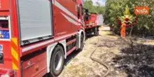 Al via bonifica dei Vigili del fuoco sull incendio boschivo sul Carso triestino