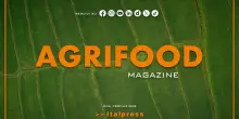 Agrifood Magazine - 12/8/2026